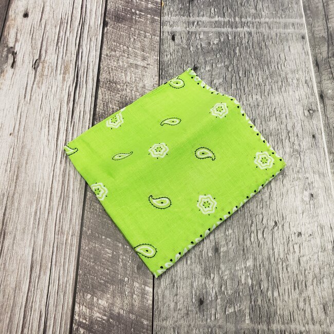 ROTHCO LIGHT COLOURED PAISLEY BANDANAS