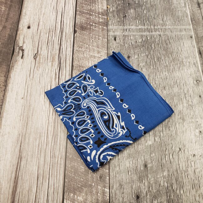 ROTHCO LIGHT COLOURED PAISLEY BANDANAS