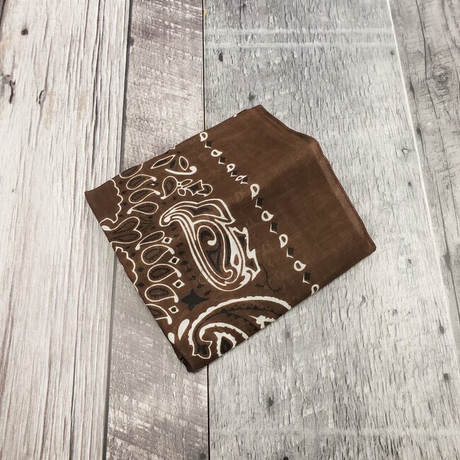 ROTHCO DARK COLOURED PAISLEY BANDANAS