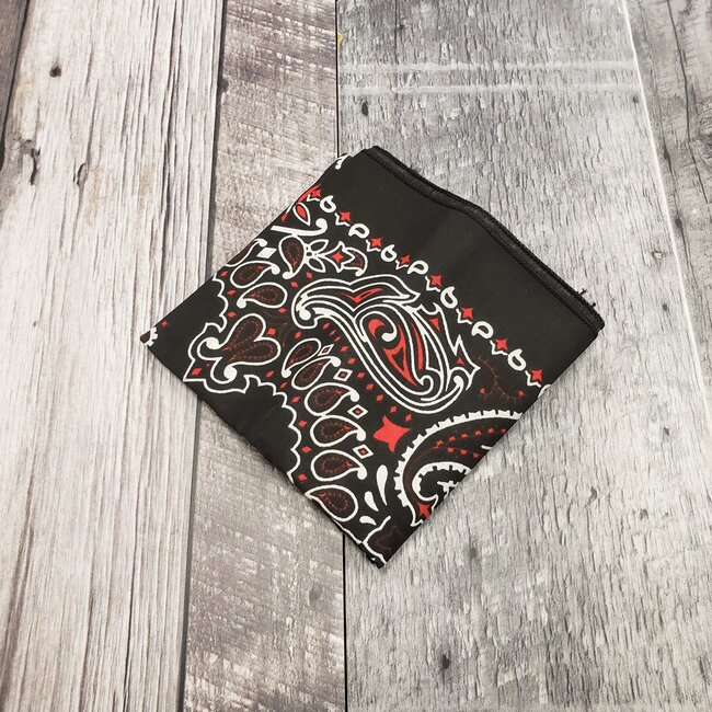ROTHCO DARK COLOURED PAISLEY BANDANAS