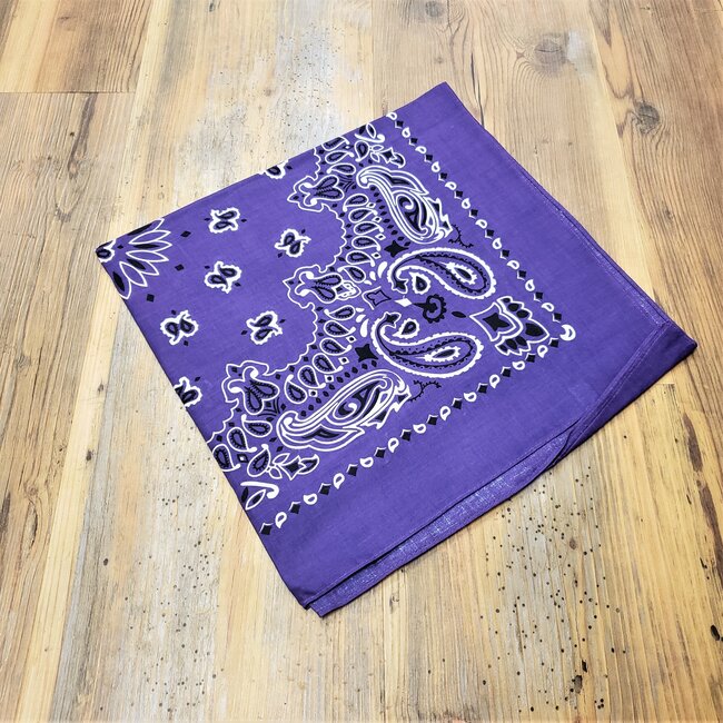ROTHCO LIGHT COLOURED PAISLEY BANDANAS