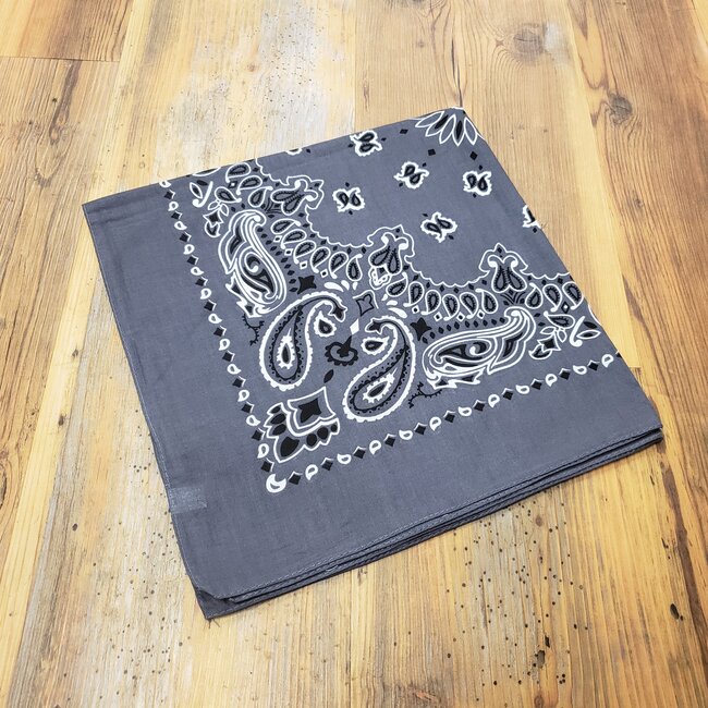 ROTHCO LIGHT COLOURED PAISLEY BANDANAS