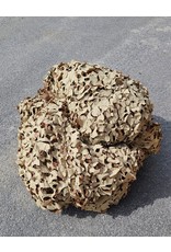 CANADIAN SURPLUS DESERT CAMO NET (VARYING SIZES)