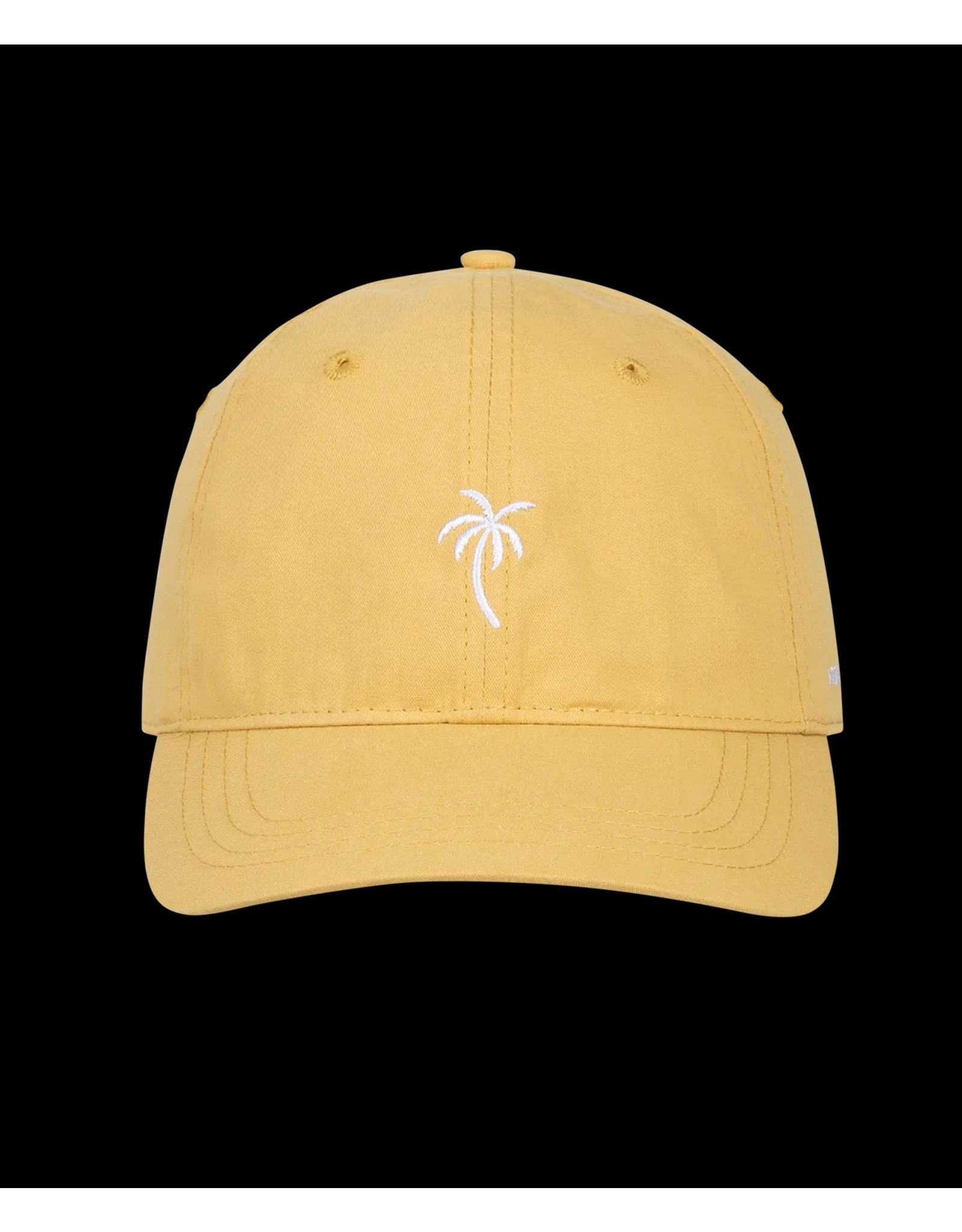 KOORINGAL PALM TREE CAP