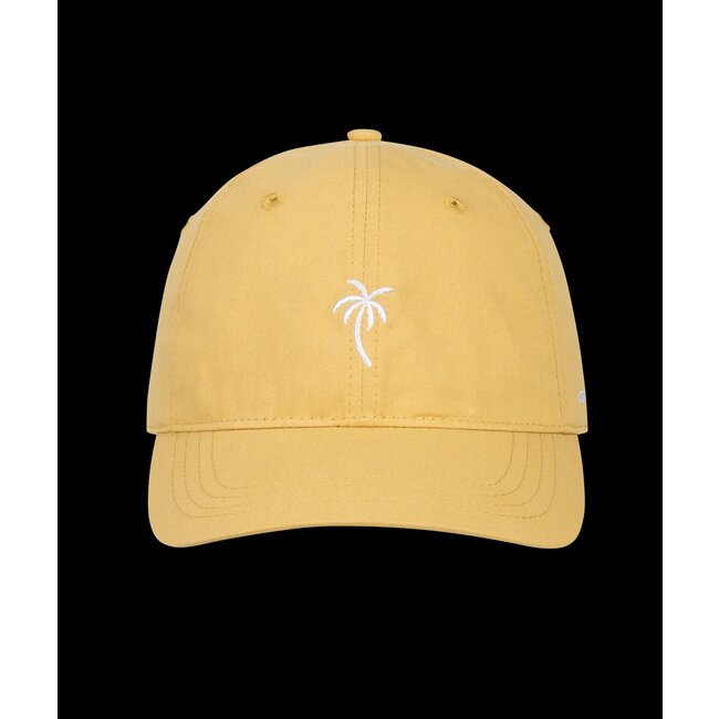 KOORINGAL PALM TREE CAP