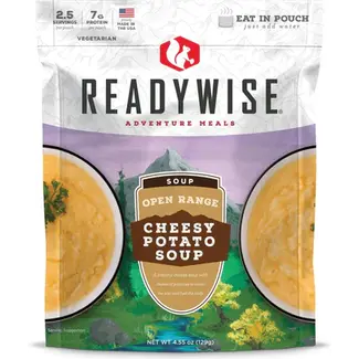WORLD FAMOUS SALES CHEESY POTATO SOUP