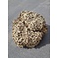 SURPLUS DESERT CAMO NET 15'X15'