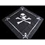 ROTHCO BANDANA