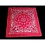 ROTHCO BANDANA