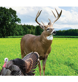 Cisco 01933 Wildlife Habitat Mix  - Deer Plot Seed (10 lb bag)