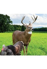 Frozen Forage - Deer Plot Seed (4 lb bag)