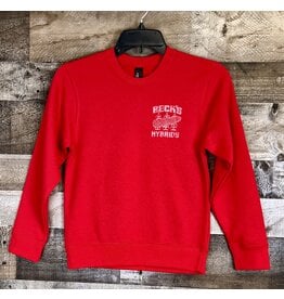 District 04337 District VIT Youth Crewneck