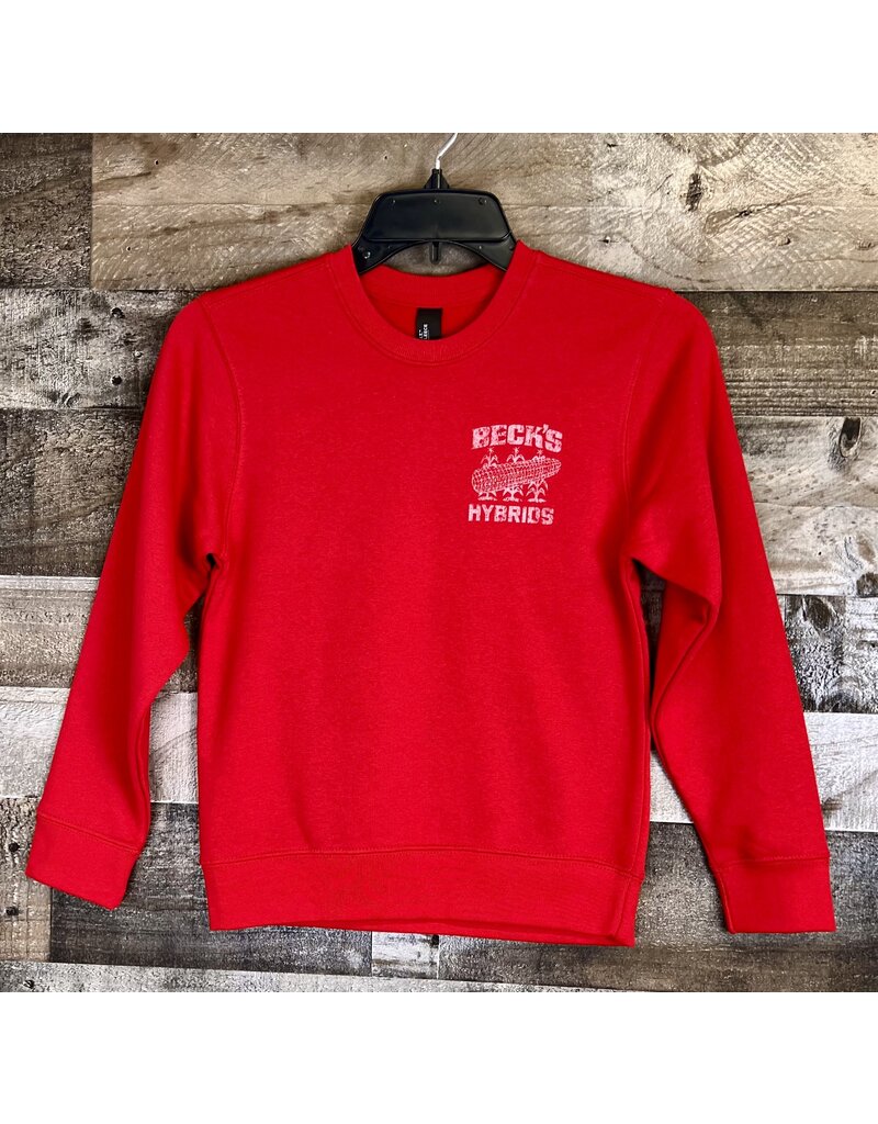 District 04337 District VIT Youth Crewneck