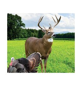 04172 Dry Ground Greens - Deer Plot Seed #8