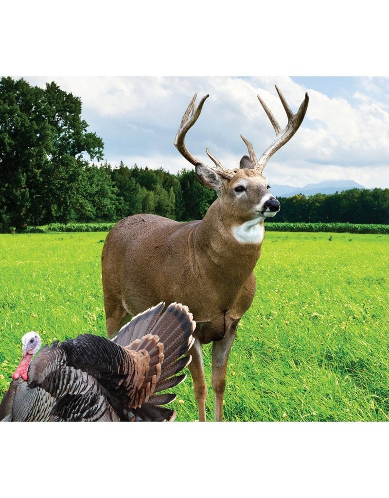 04172 Dry Ground Greens - Deer Plot Seed #8