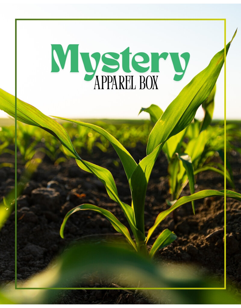 04647 Mystery Box - Women's Apparel