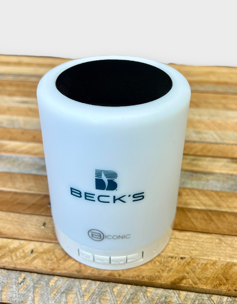 04086 Color Changing Speaker