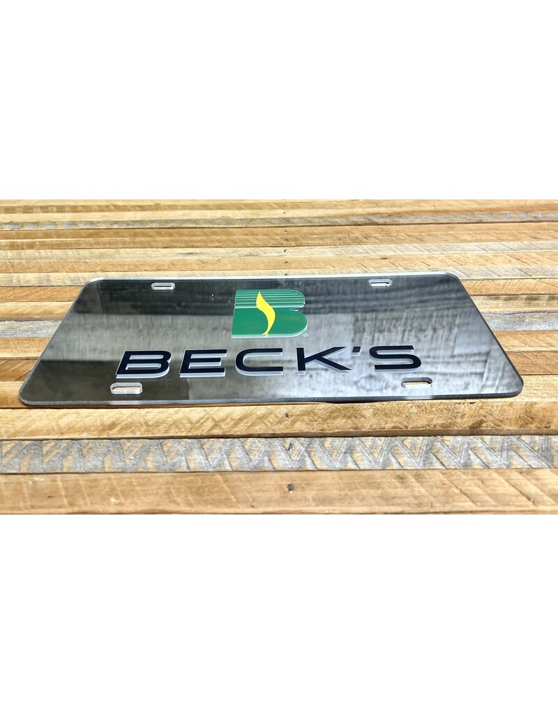 04238 Mirrored Acrylic License Plate