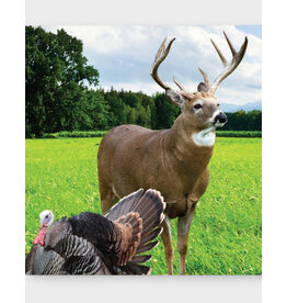 01936 Midwestern TNT (Tine & Turkey) - Deer Plot Seed (5 lb bag)
