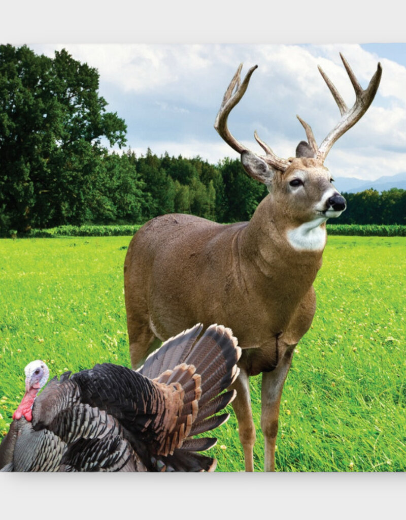 01936 Midwestern TNT (Tine & Turkey) - Deer Plot Seed (5 lb bag)