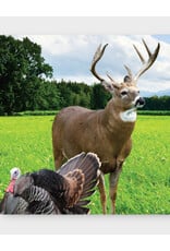 Cisco 01933 Wildlife Habitat Mix  - Deer Plot Seed (10 lb bag)