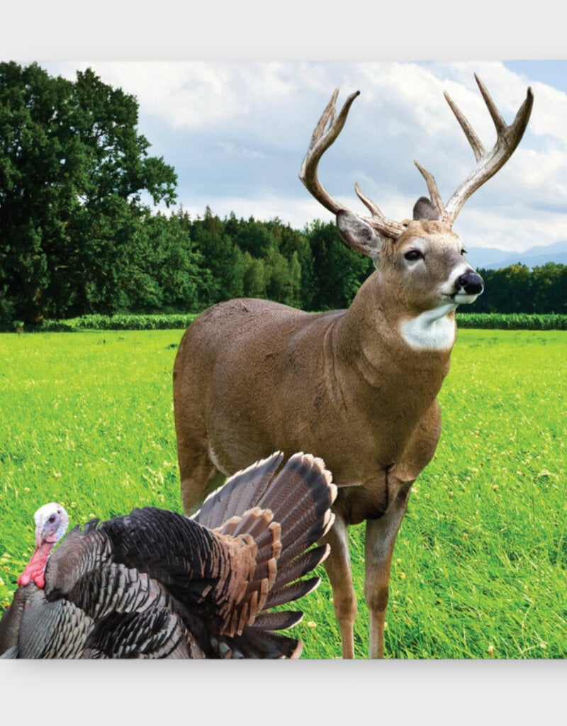 Cisco 01933 Wildlife Habitat Mix  - Deer Plot Seed (10 lb bag)