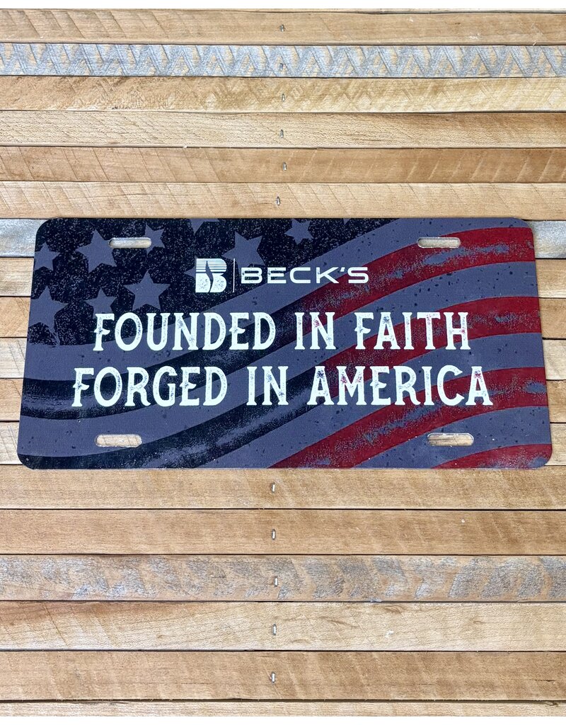 05007 Founded In Faith License Plate
