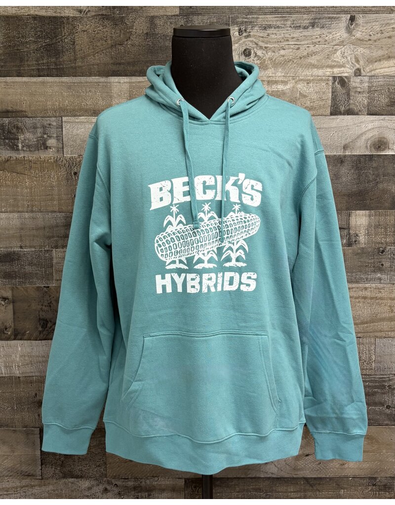 District 04120 Vintage Hoodie