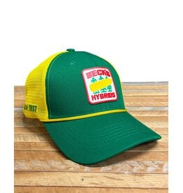 05146 Silicone Vintage Patch Mesh Hat