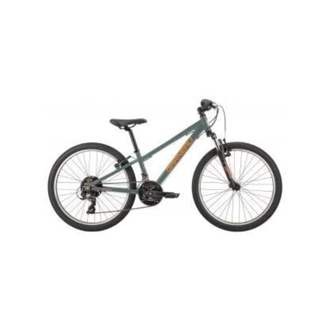 louis garneau fat bike