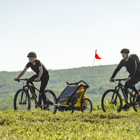 Bike Trailer