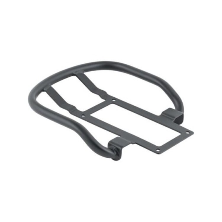 Electra ponto go! passenger handle