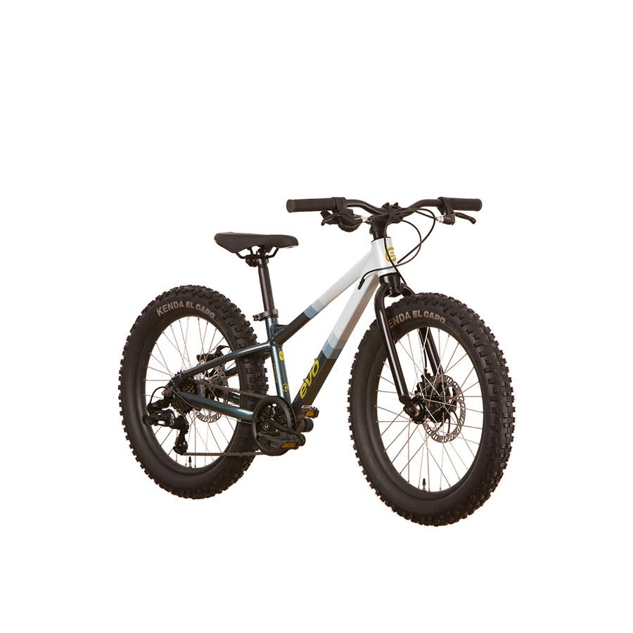 Evo 20 inch bike sale