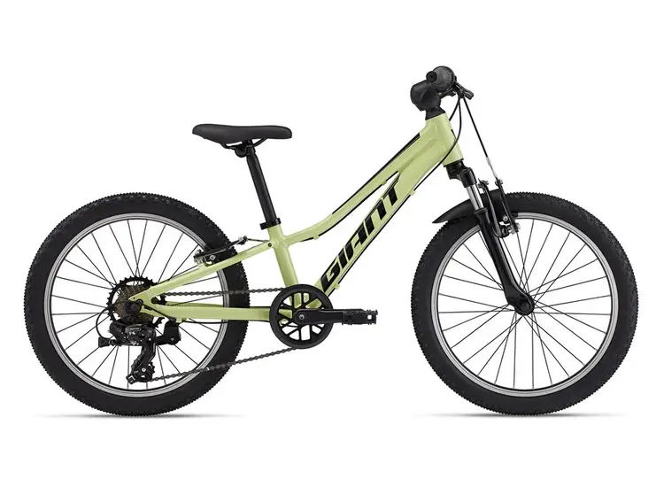 Giant Talon 20  (Muscat Blanc)