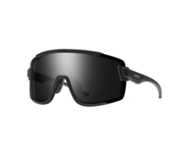 Smith Wildcat Glasses