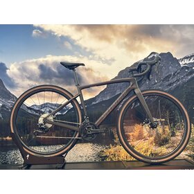 Specialized Diverge Sport Carbon - Satin Doppio/Gun Metal