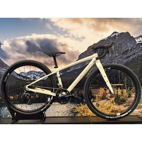 Specialized Diverge E5 44 (Custom Build)