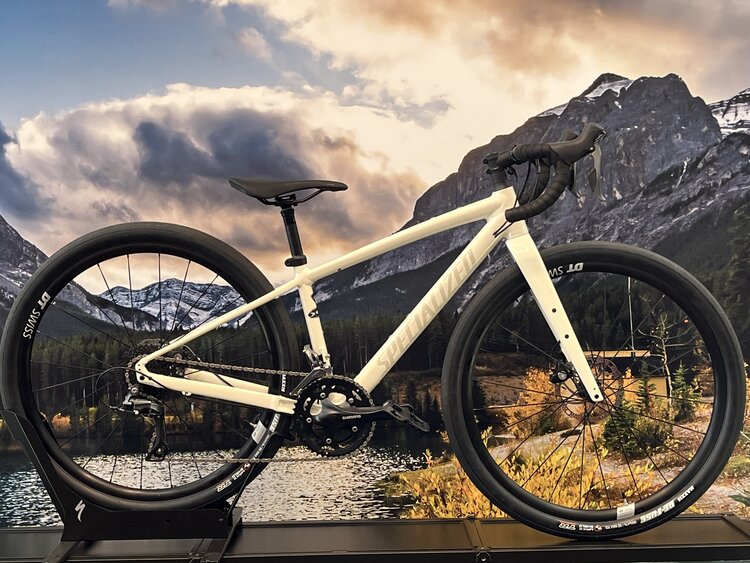 Specialized Diverge E5 44 (Custom Build)