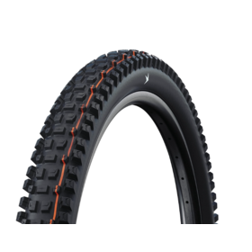 Schwalbe Albert Gravity Pro Radial Tire, 29 x 2.50 (63-622), Black, Tubeless Ready, Addix Soft, Folding