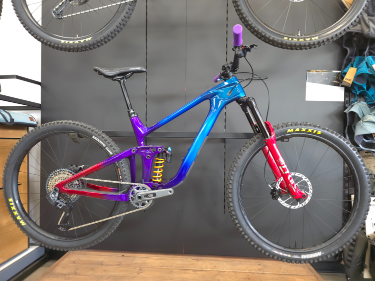 Giant Reign Advanced Rainbow Sprayed Custom Build, Large