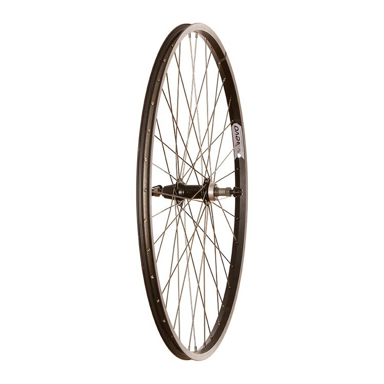 Wheel Shop Wheel Shop, Evo Tour 20, Wheel, Rear, 700C / 622, Holes: 36, QR, 135mm, Rim, Freewheel