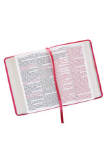 Large Print Pink Compact Bible