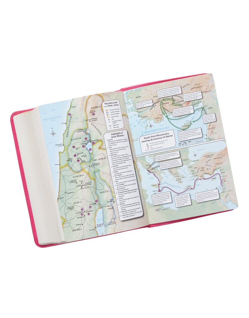 Large Print Pink Compact Bible