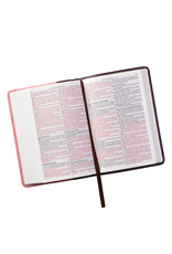 Slimline Duo-Tone Brown/Pink With Leaf Debossing Compact Bible