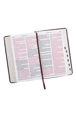 Giant Print Standard Bible Brown With Thumb Index