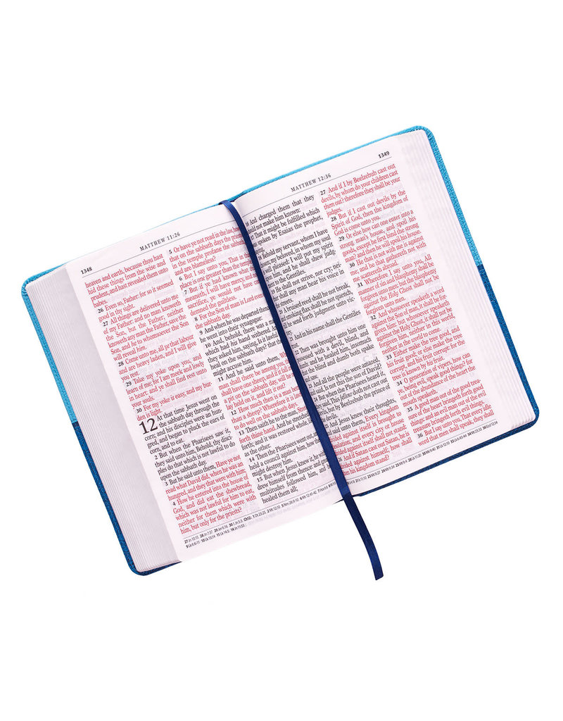 Giant Print Standard Bible Duo-tone Blue Leathersoft