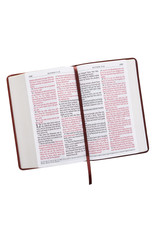 Giant Print Standard Bible Duo-tone Brown Leathersoft