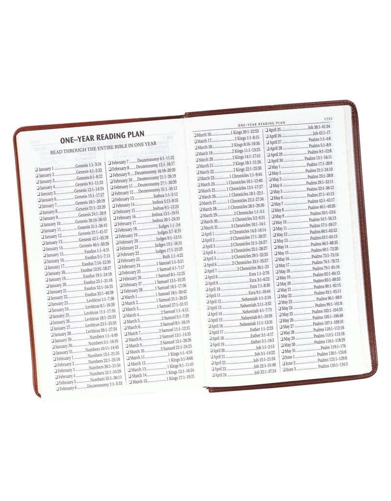 Giant Print Standard Bible Duo-tone Brown Leathersoft