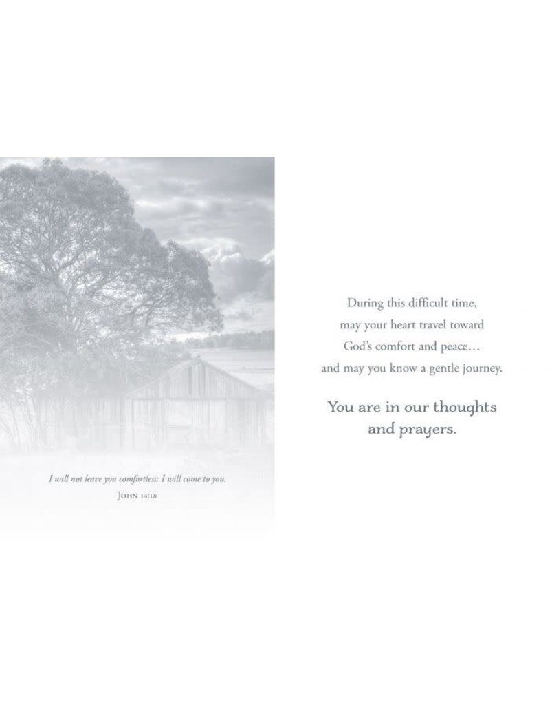 To Comfort You