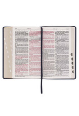 Giant Print Standard Bible two Tone Black/Gray Leathersoft Thumb Indexed